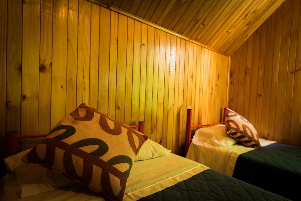 Hostel El Alcazar 比亚里卡 外观 照片